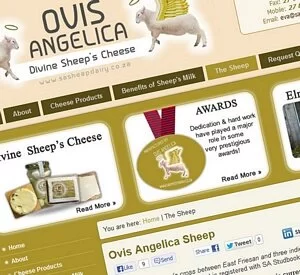 Ovis Angelica Sheep's Cheese